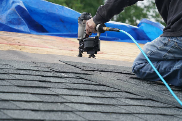 Best Sheet Metal Roofing  in Huntland, TN